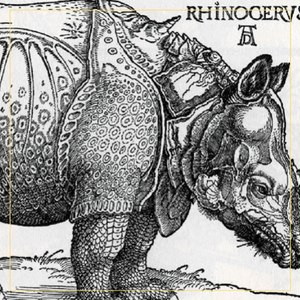 The history of the Dürer rhinoceros